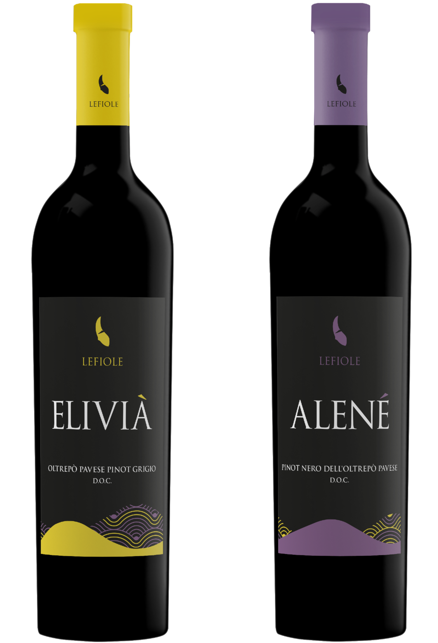 Lefiole I Vini & Enoturismo — foto 6
